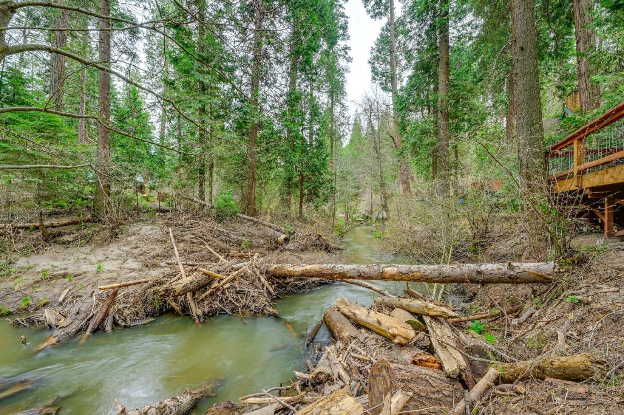 Enchanting Creekside Cabin Near Kings Canyon Park! Badger Εξωτερικό φωτογραφία