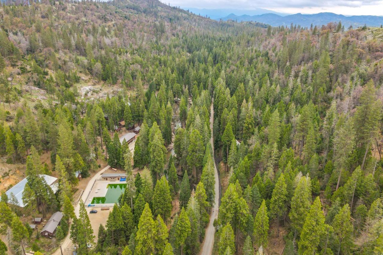 Enchanting Creekside Cabin Near Kings Canyon Park! Badger Εξωτερικό φωτογραφία